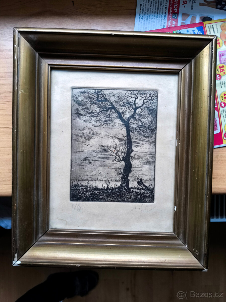 Starý obrázek,grafika 50.léta,podpis autora,číslo série,orig - 4