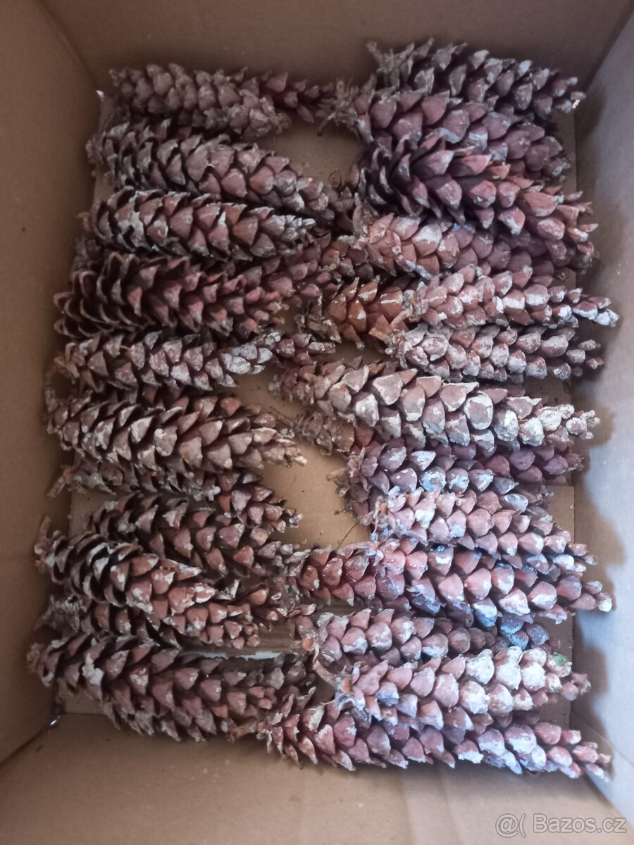 Šišky na tvoření a na dekorace - 4