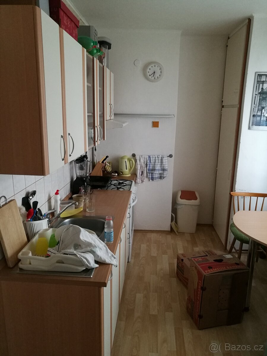 pronajem bytu 2+1, 50m2, balkon - 4