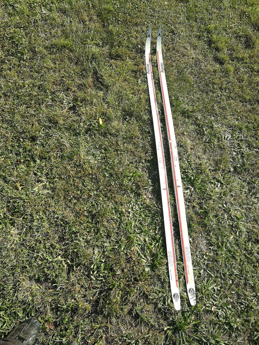 Běžky 180-210cm, hůlky, vázání 75mm Nordic Norm - 4