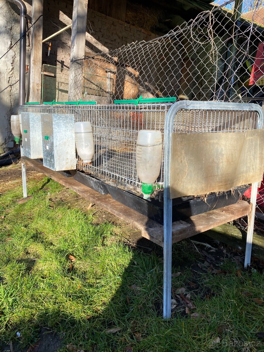 Králíkárna, výběh, odstavení - 4