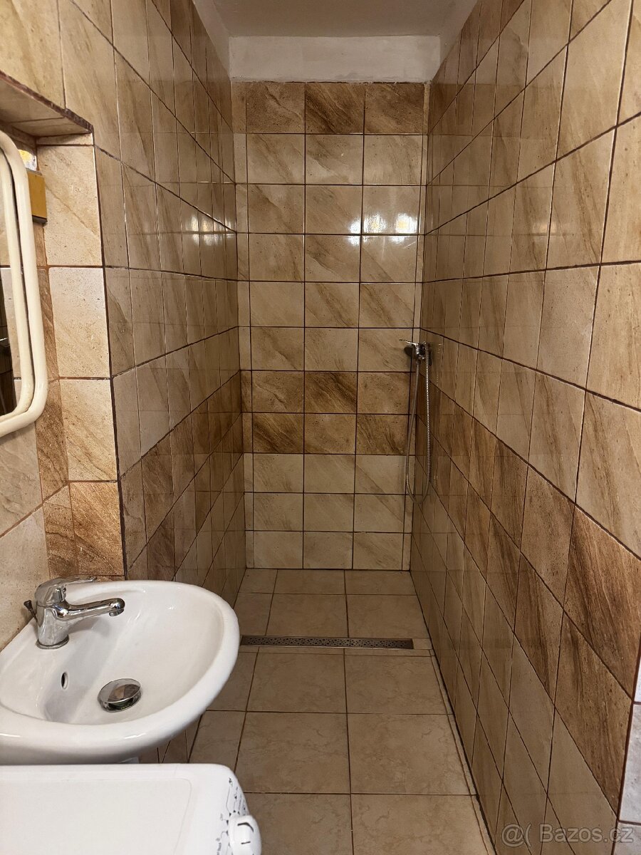 Pronájem bytu - 4