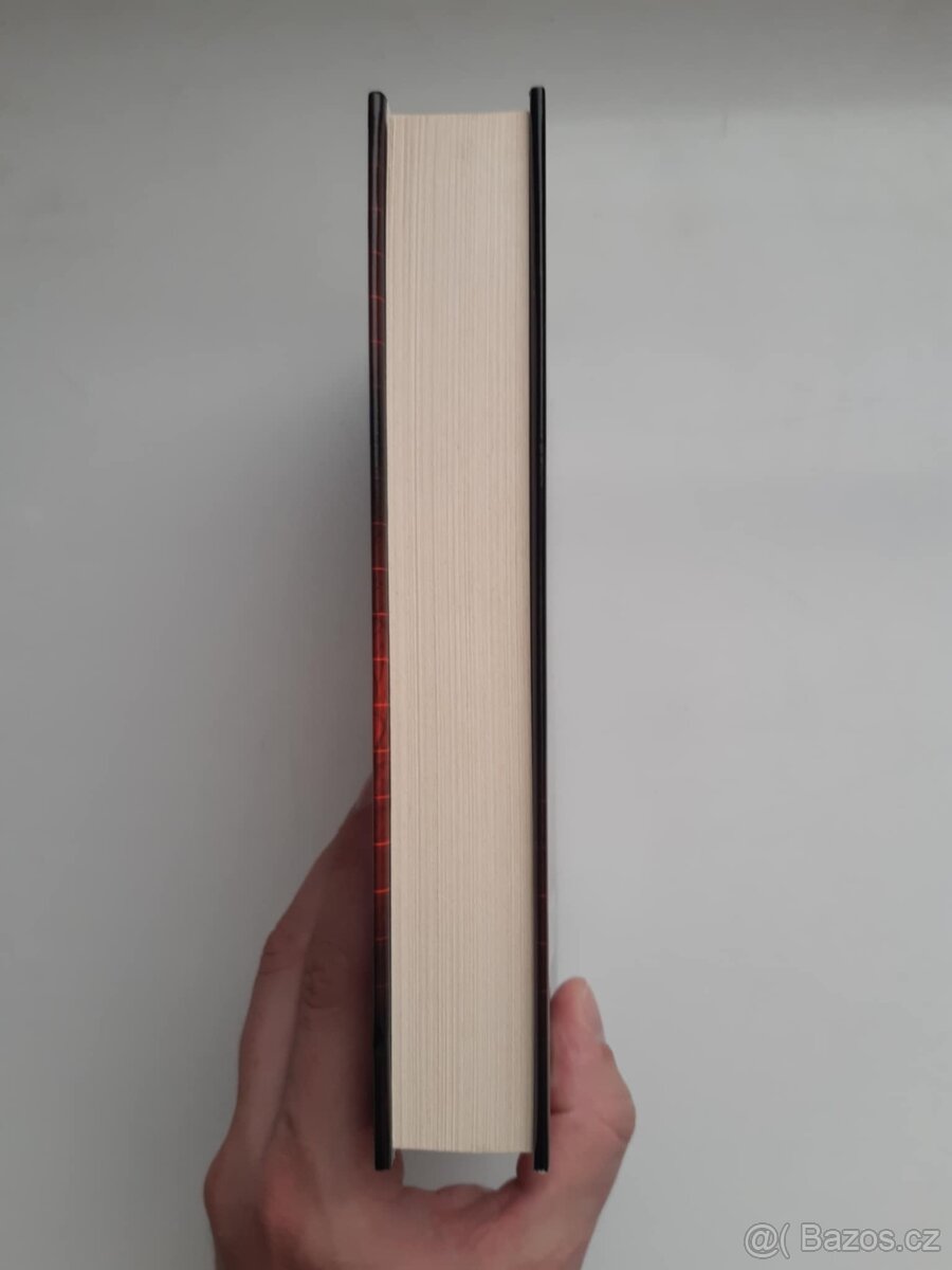 Tajná služba Daniel Silva kniha - 4