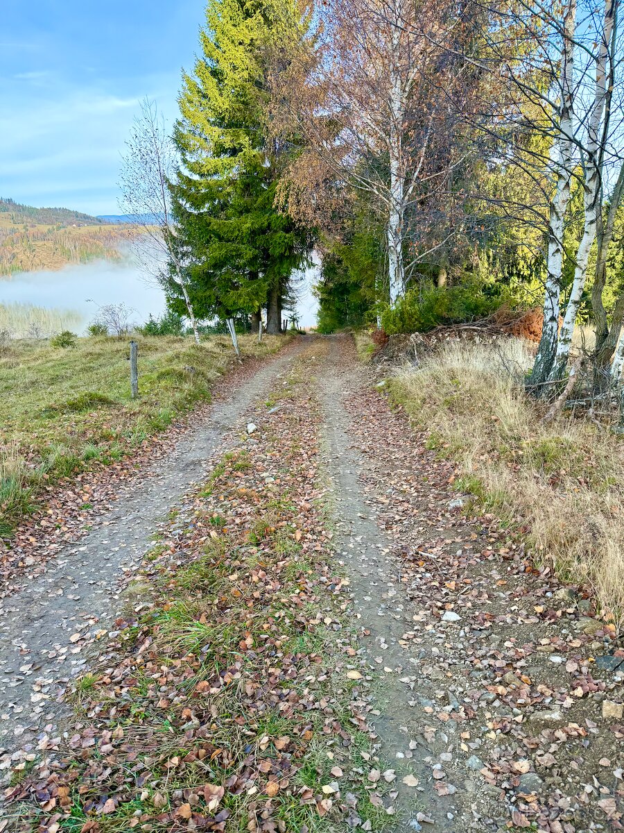 Pozemek v Horské obci LOM NAD RIMAVICOU 2719 m² - 4