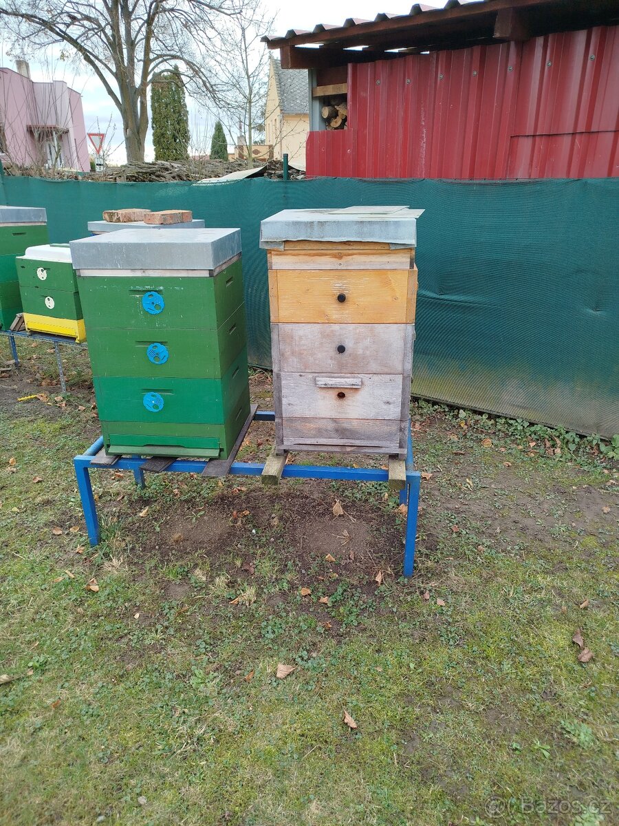 Prodej včelstva 39x17 - 4