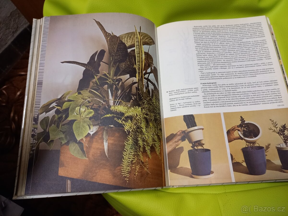 Kvety moja záluba-Mária Martišová - 4