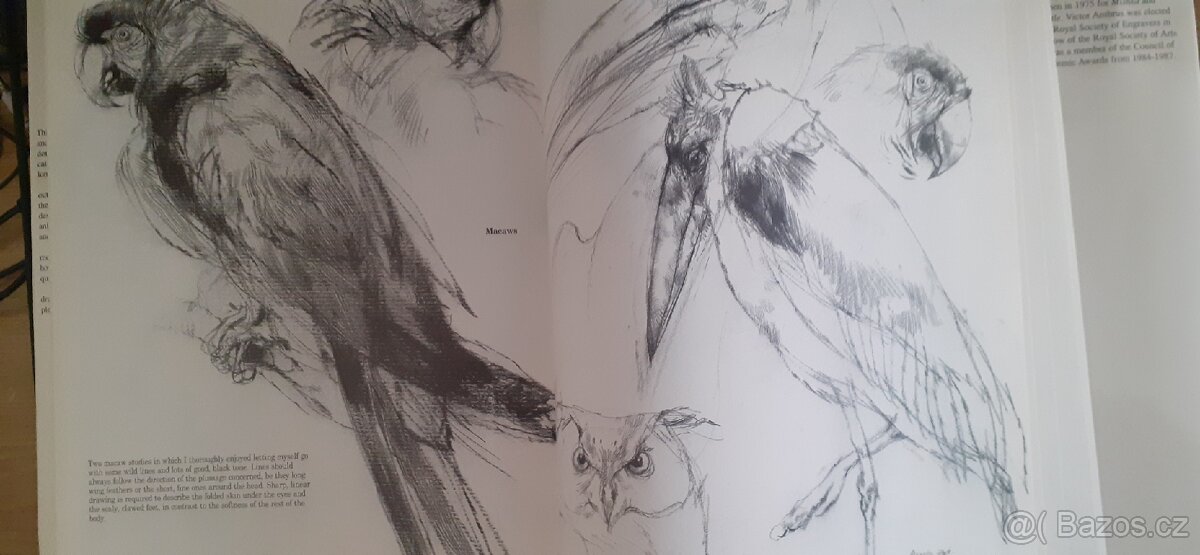 Drawing Animals kreslení zvířat - 4