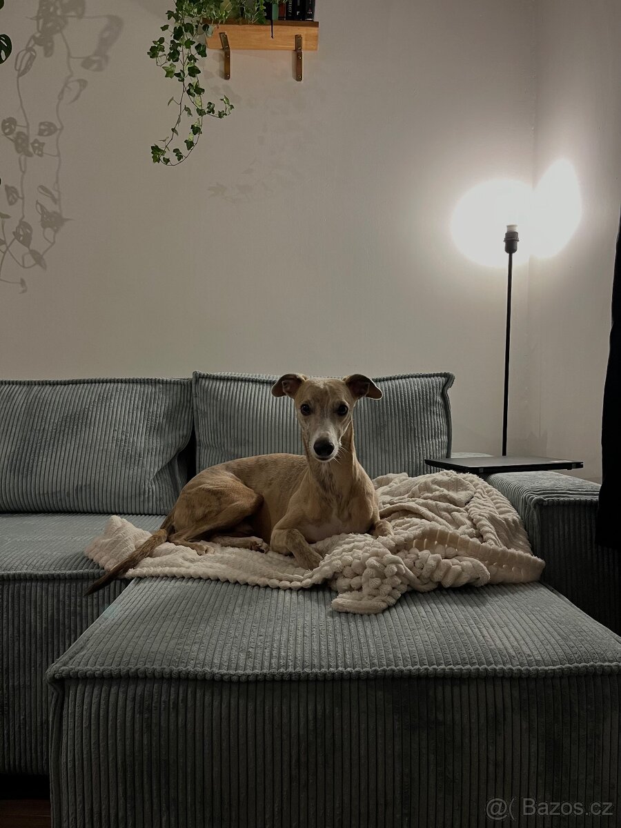 Gauč skandinávského stylu - 4