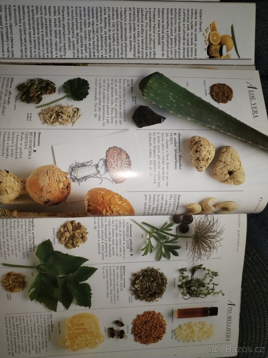 Kompletní ilustrovaný průvodce přírodních léčiv - 4