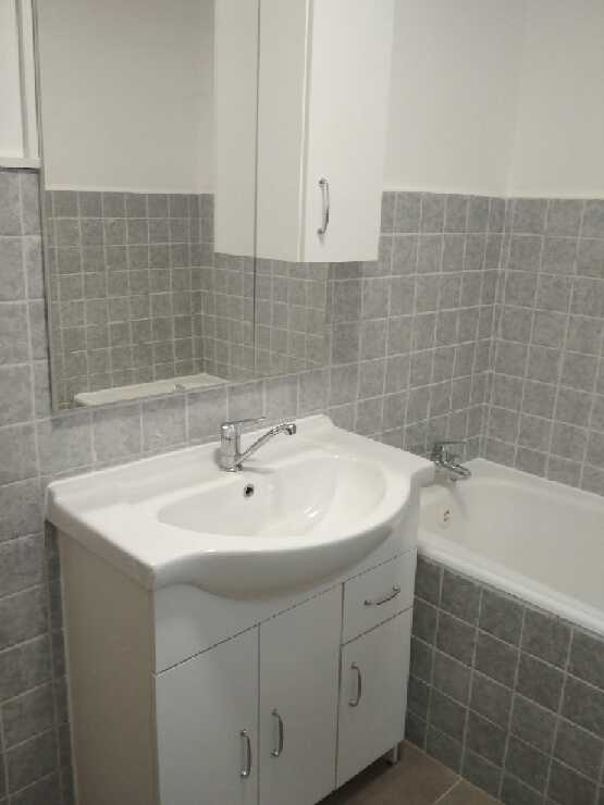 Pronajmu byt 2+1 - 4