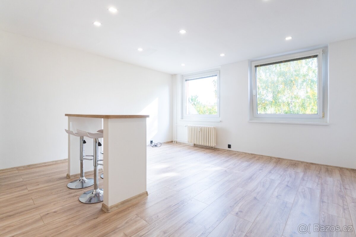 Prodej bytu 2+kk 48 m² Alejní, Chlumec - 4