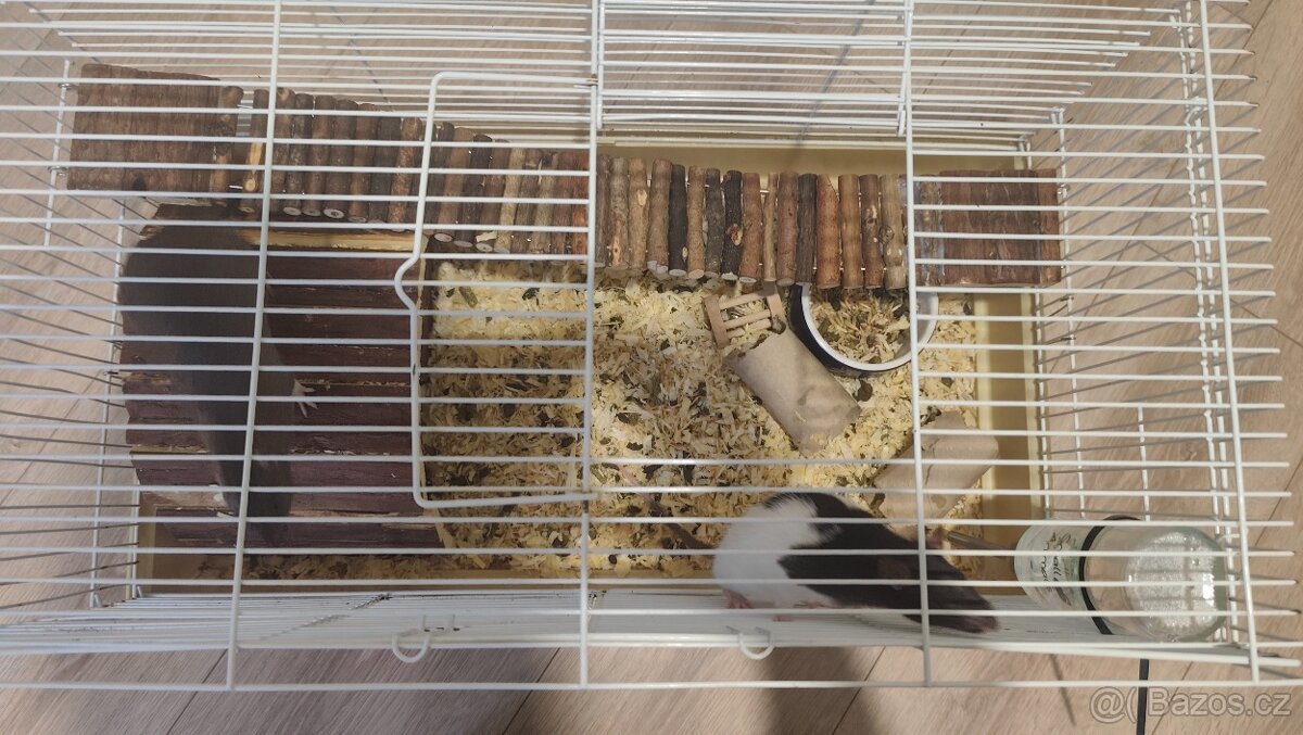 Potkan+vybavení pro hlodavce - 4