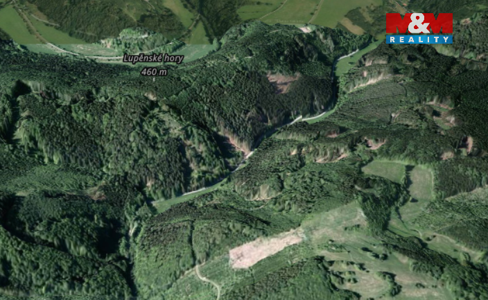 Prodej lesa, 12967 m², Nemile - 4