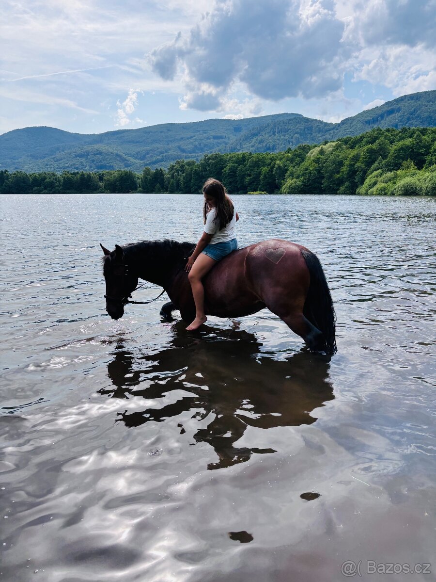 Valach na prodej - 4