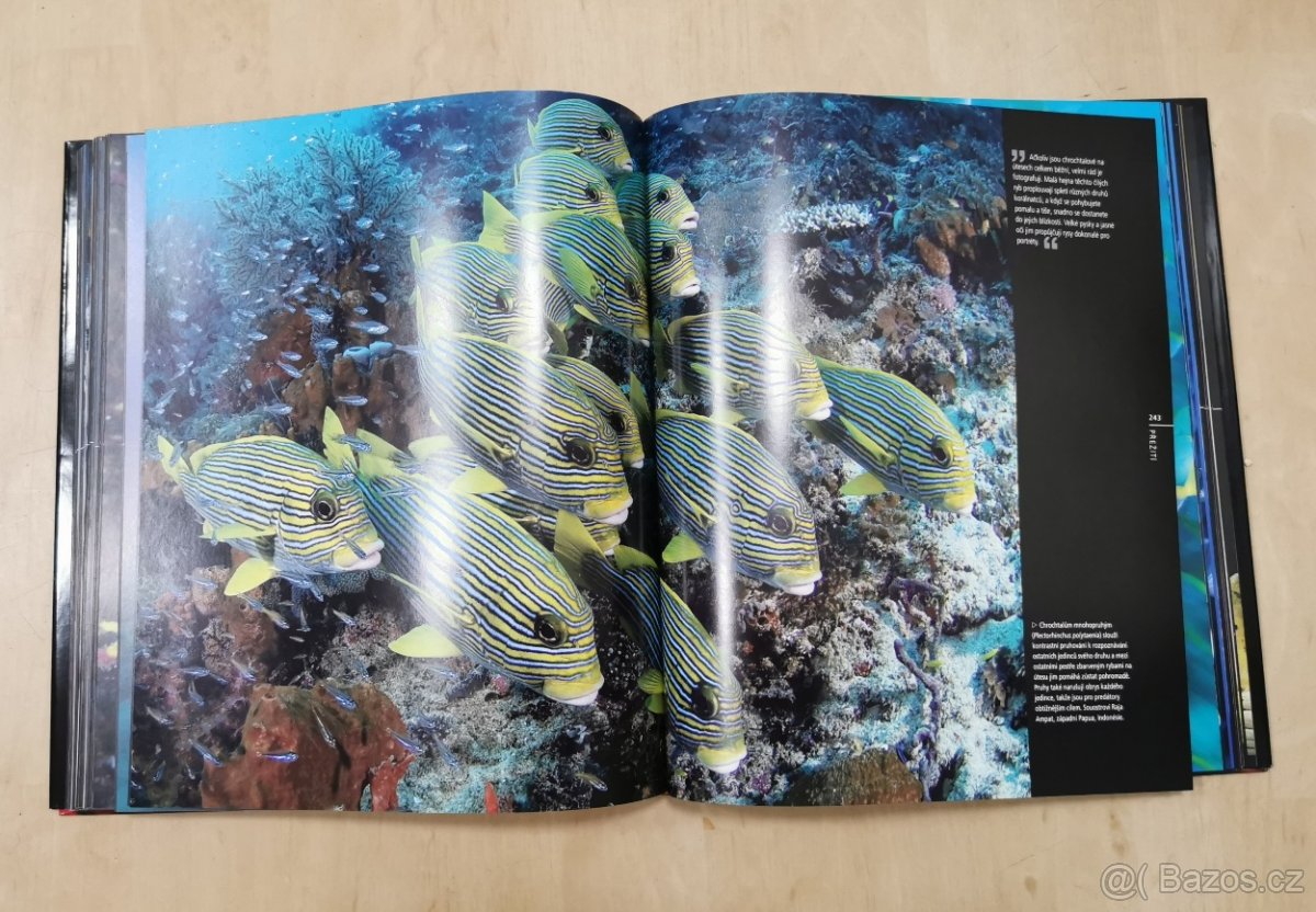 Útes - obrazová publikace - 4