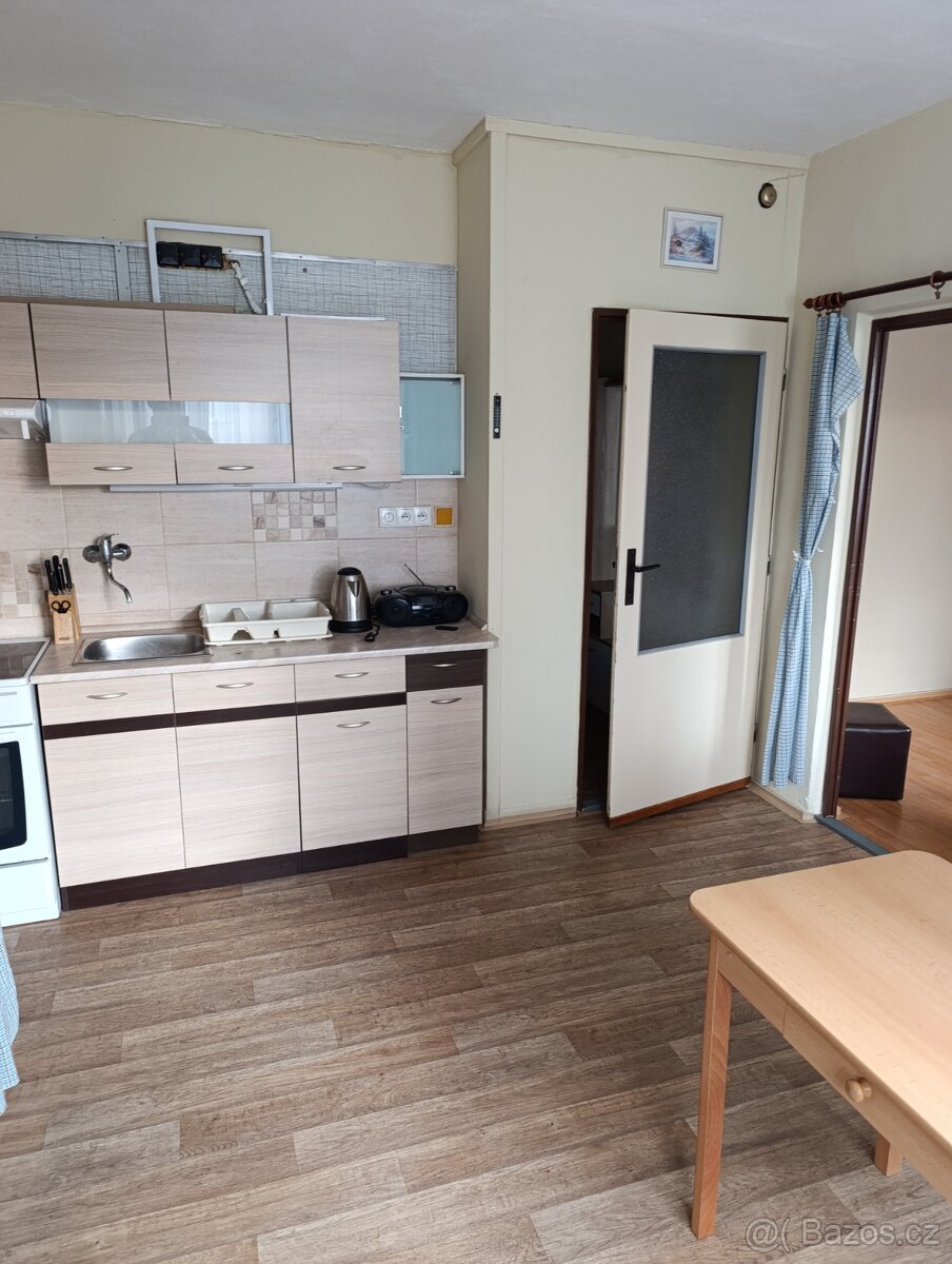 Pronájem bytu 1+1 - 4