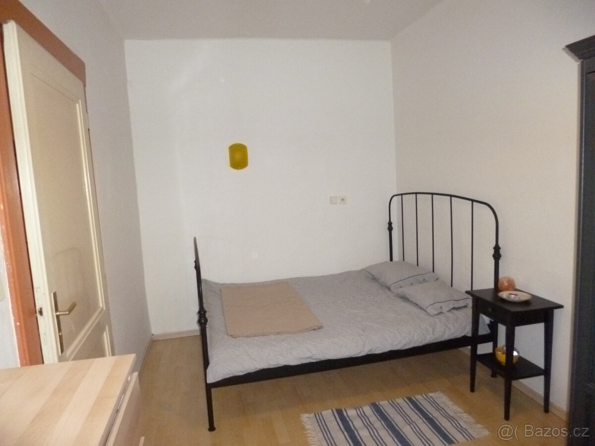 Byt 2+1+terasa, 55m2, Francouzská ul. - 4