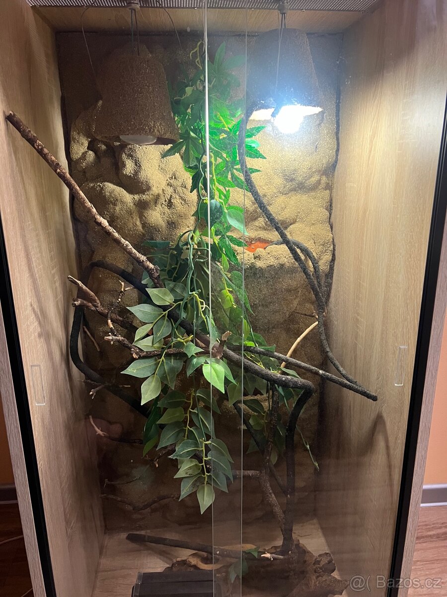 Terárium pro chameleona - 4