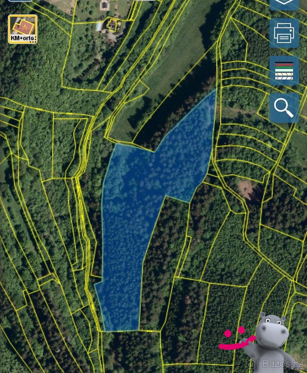 Prodej lesa 21 183 m², Janová, ev.č. 58891 - 4
