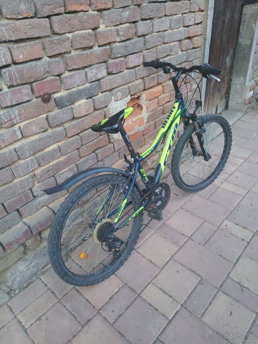 Dětské kolo BERRY CTM - 4
