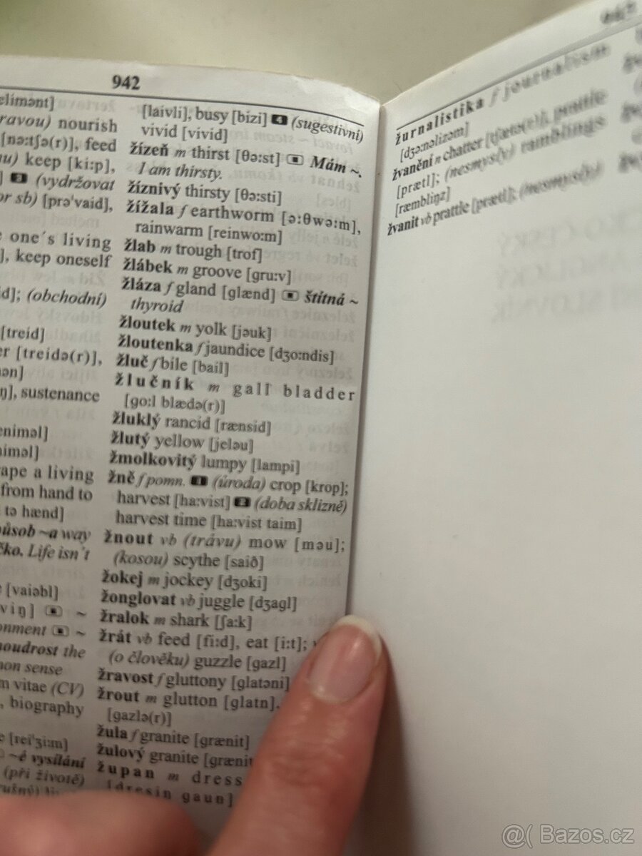 Česko-anglický kapesní slovník - 4