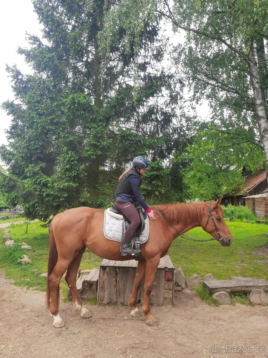 Klisna ČT, 5 let - 4