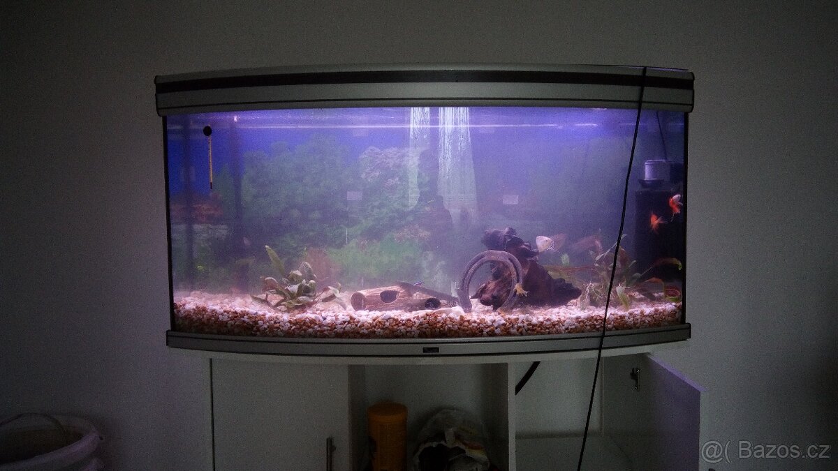 Panoramatické akvárium vč. LED osvětlení a externího filtru - 4