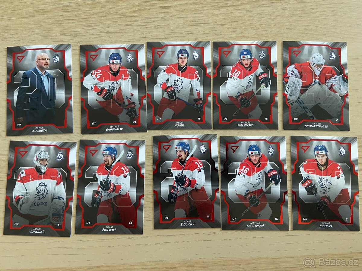 Hokejové Česko 2024 SportZoo 2024 - 4
