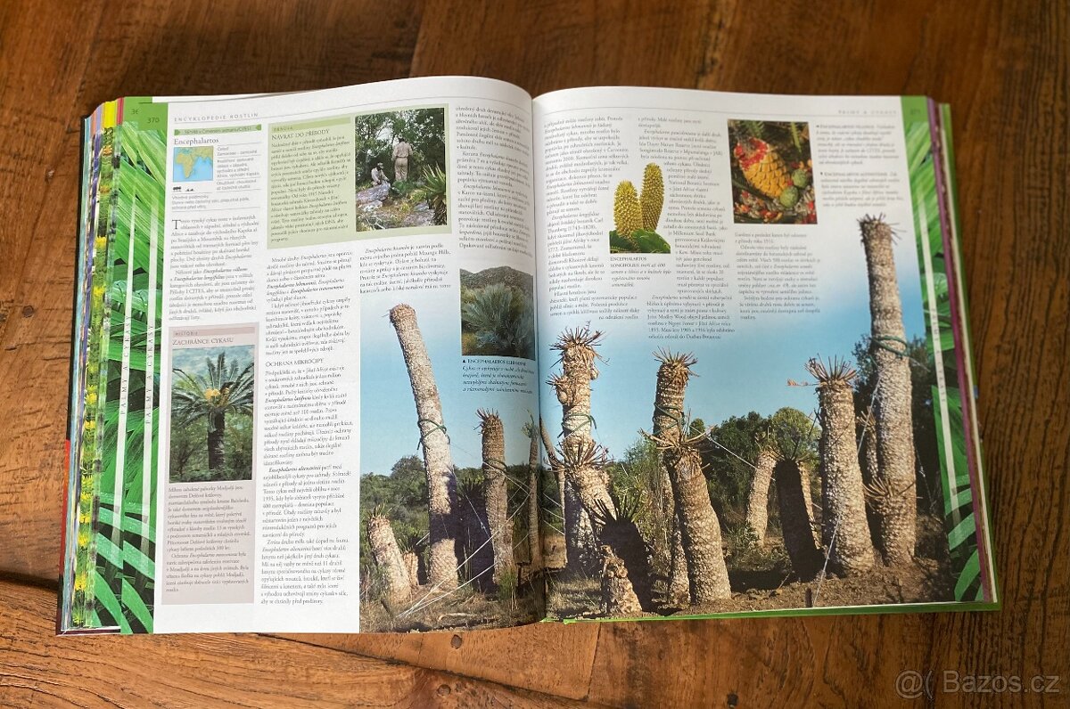Obrazová encyklopedie Rostliny - 4