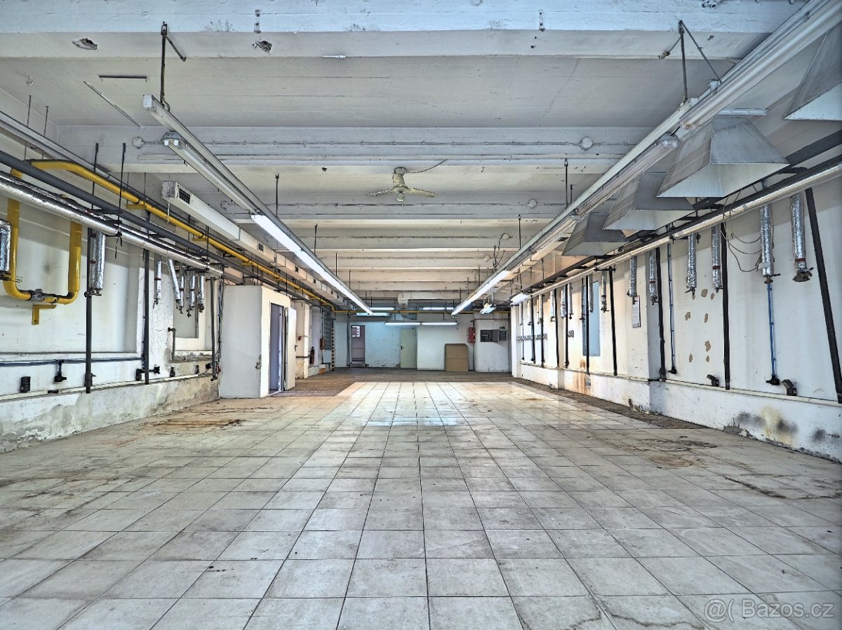 Kanceláře, výrobní prostory k pronájmu, AŠ - 4