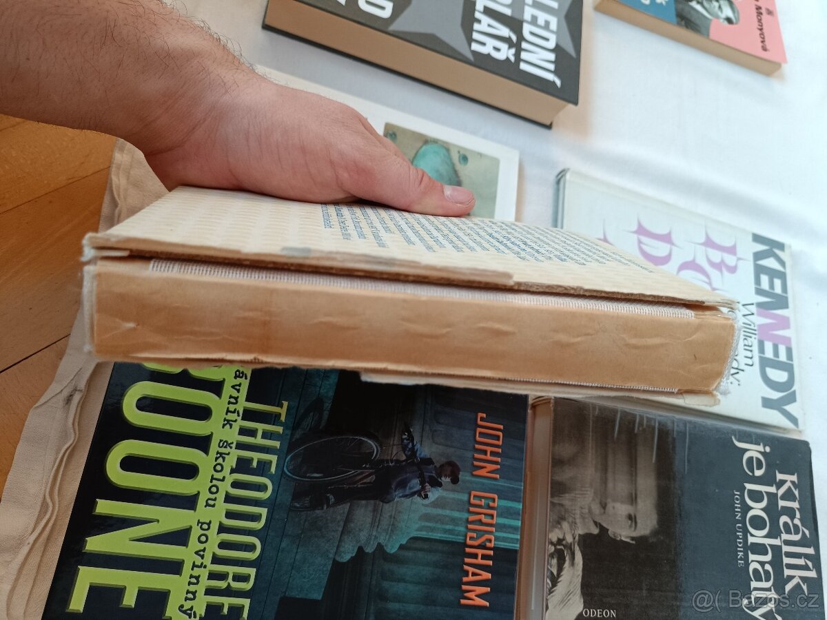 Sada 8 knih: Thrillery, krimi, moderní beletrie - 4