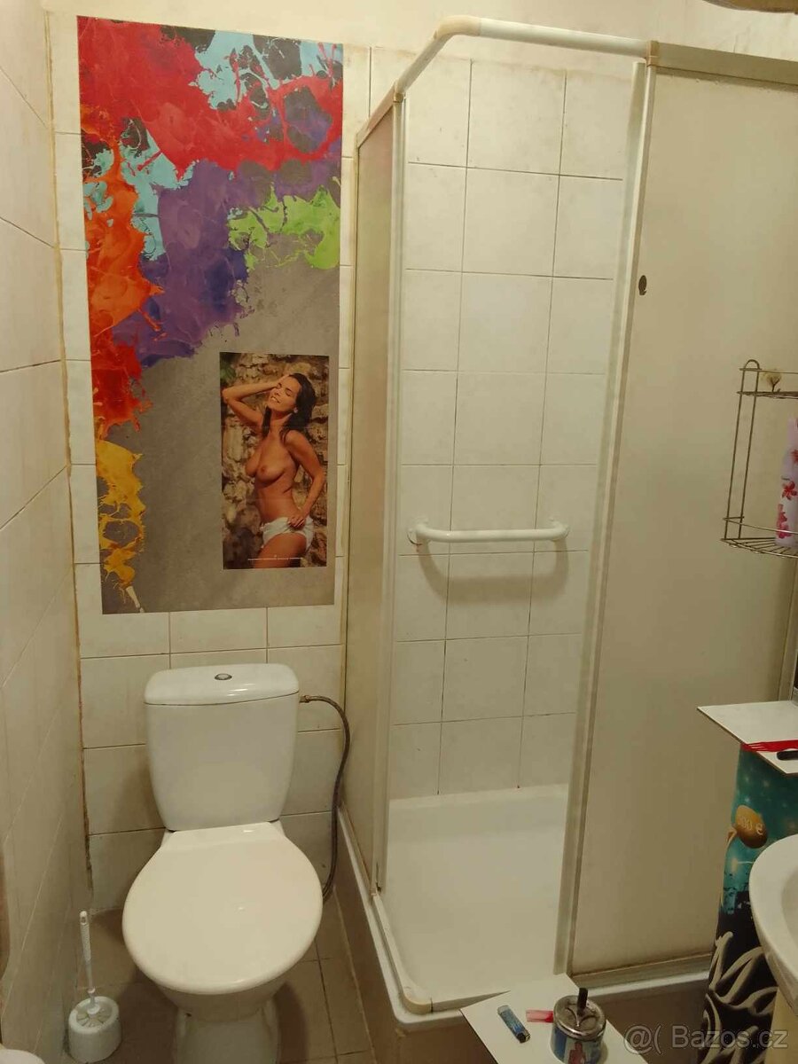 Pronájem lůžka, Rokytová - 4