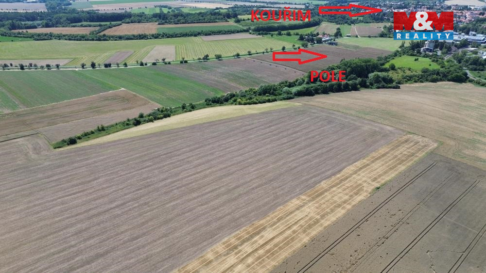 Prodej pole,1/4 podíl z 9171 m², Kouřim - 4