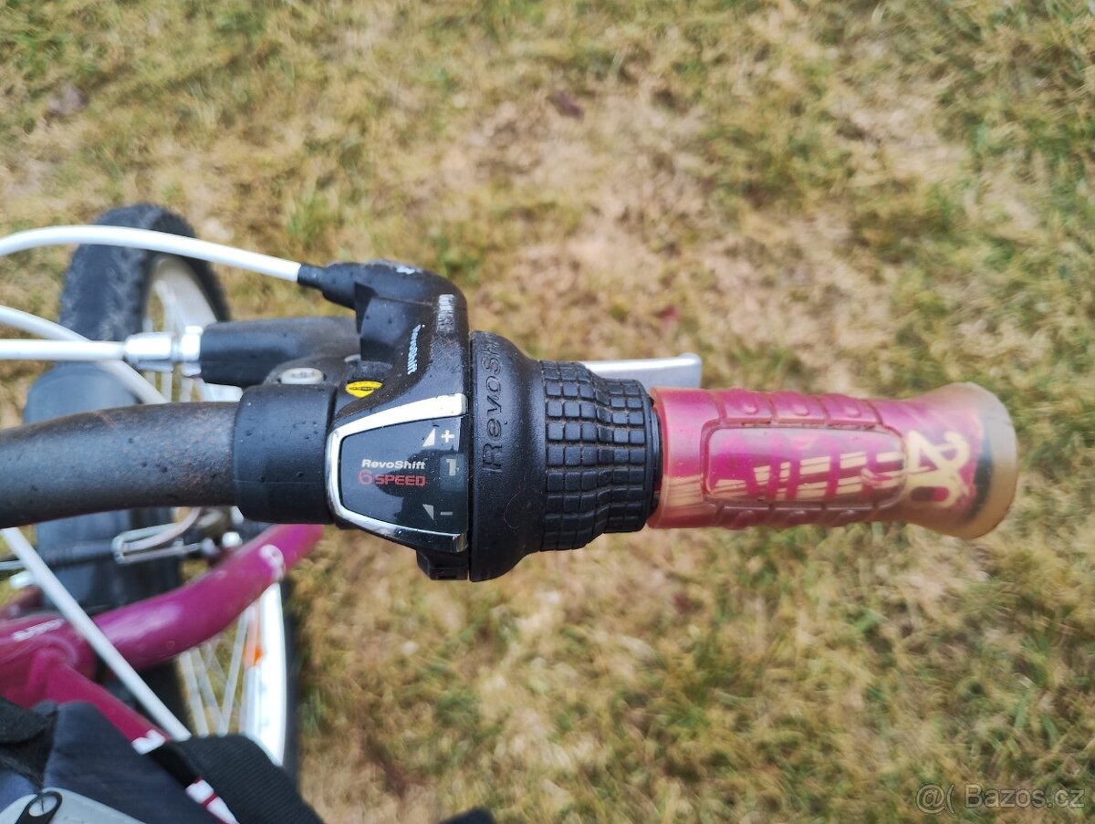 Dívčí kolo Superior Paint 20 - 4