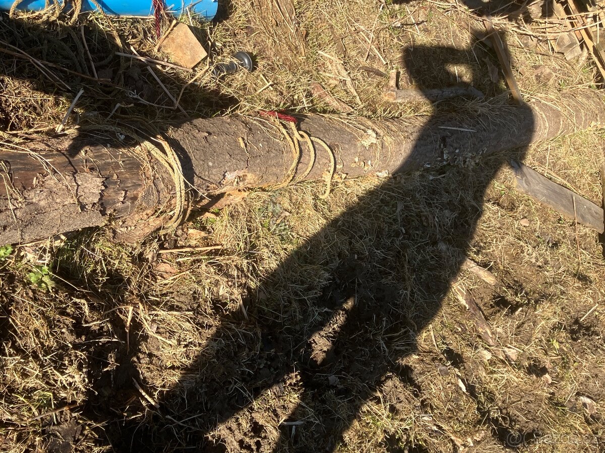 Daruji dřevo - STÁLE AKTUÁLNÍ - 4