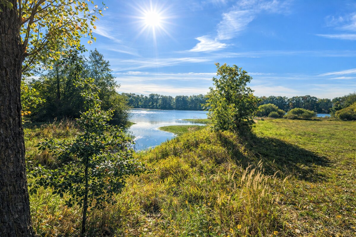 Na samotě u rybníka - SLEVA - 4
