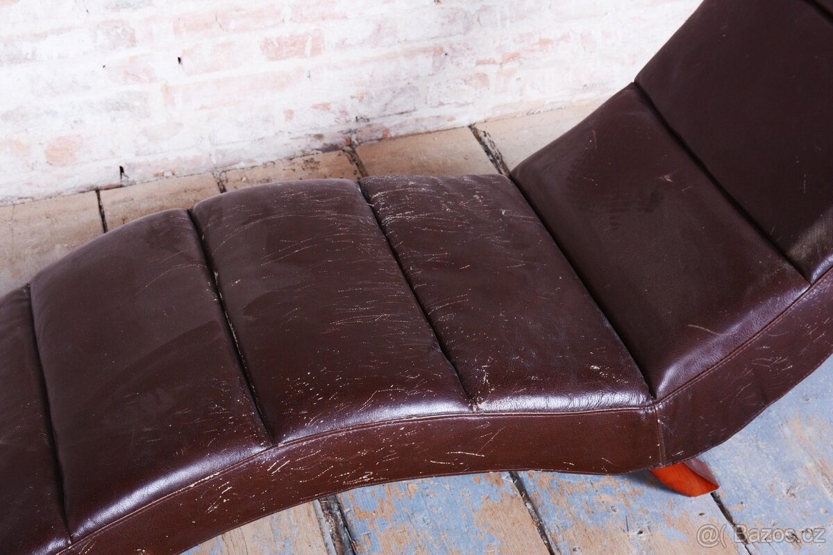 Elegantní hnědá lenoška - 4