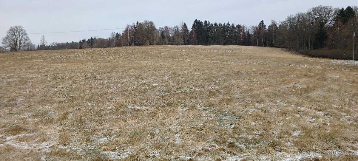 Prodám zemědělský Pozemek. - 4