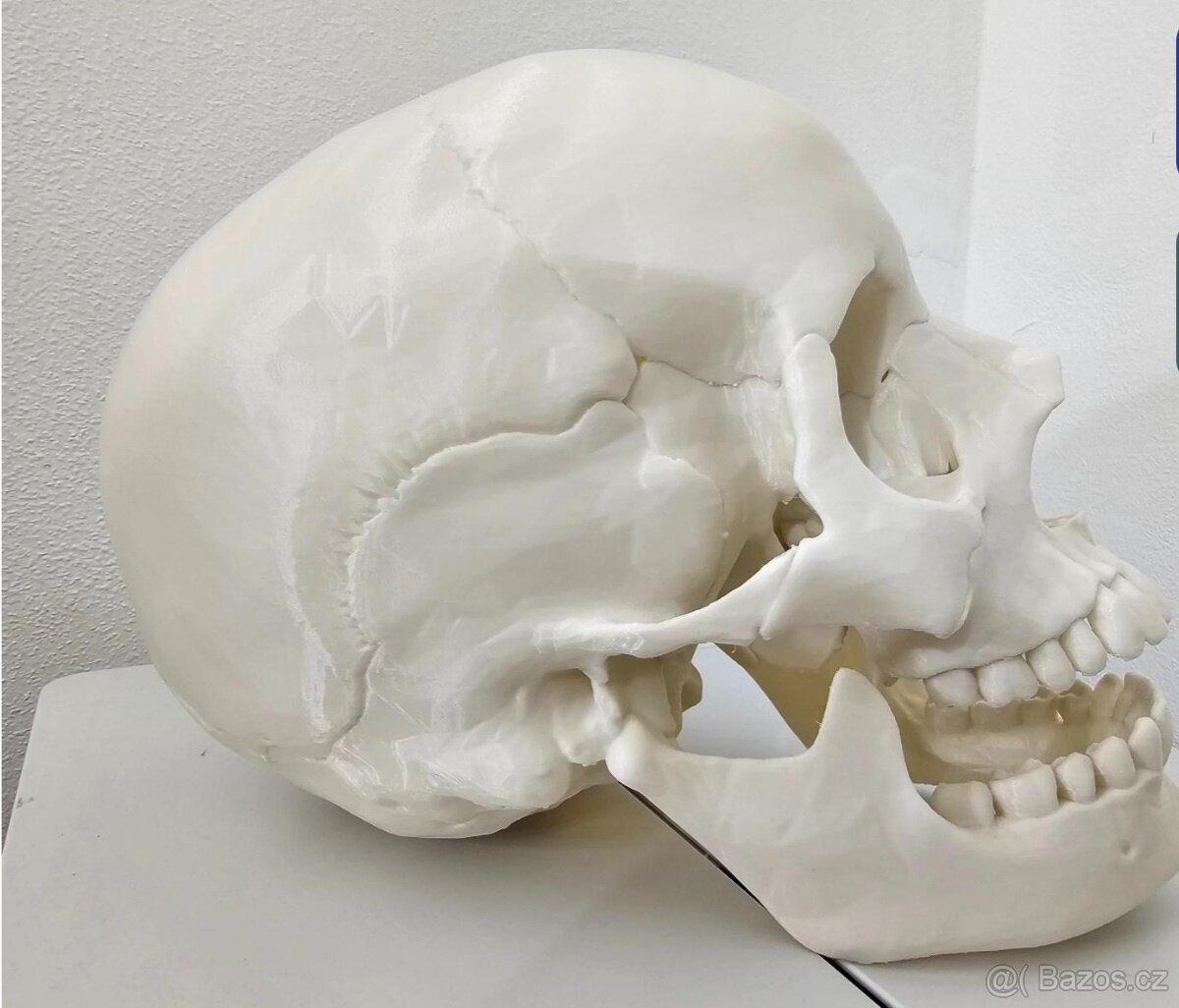 REALISTICKÝ model lidské lebky, 3D tisk - 4