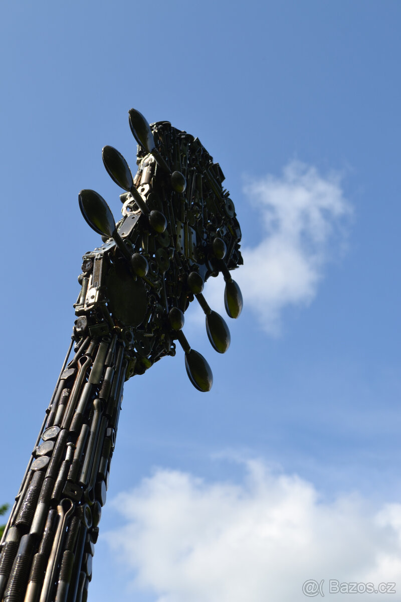Kytara - 4