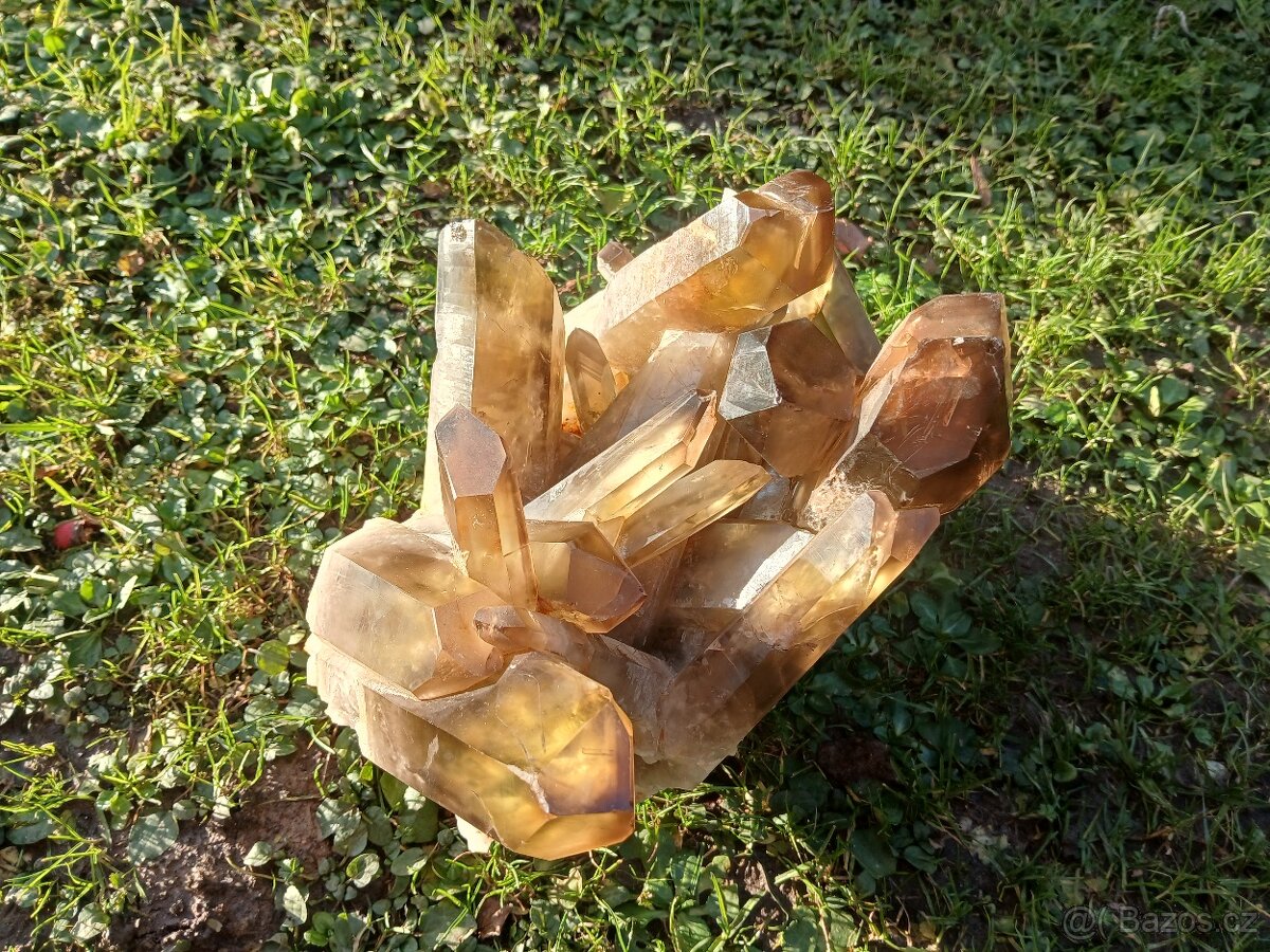 Citrin , velká drůza 6kg - 4