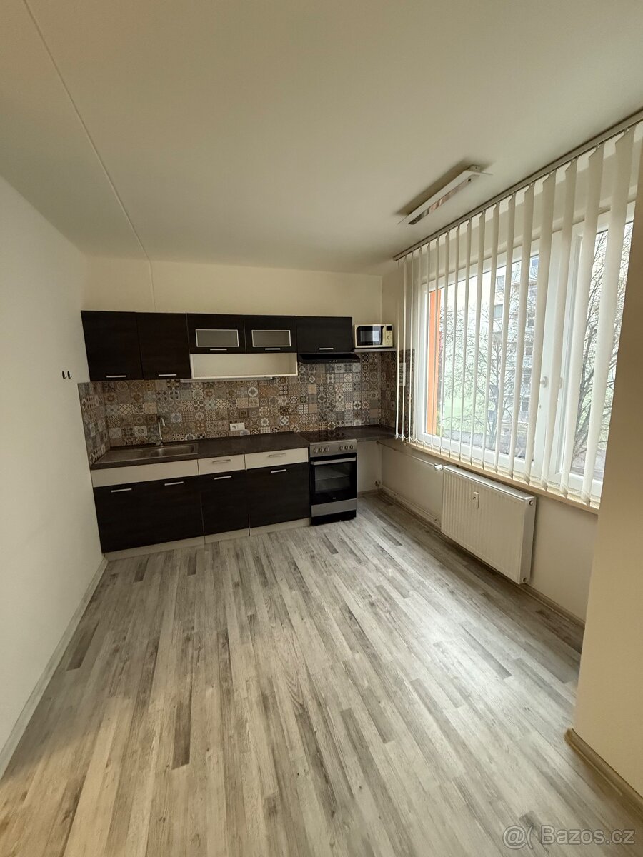 Pronajmu byt 1+1 - 4