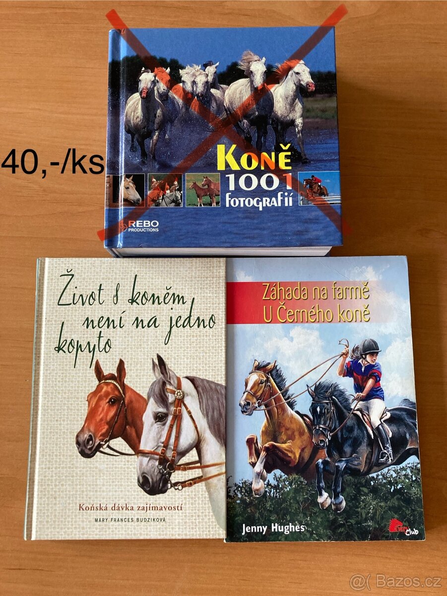 Knihy s koňskou tematikou - 4