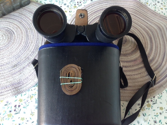 Dalekohled.....Ruský БПЦ 10x50 SOTEM - 4