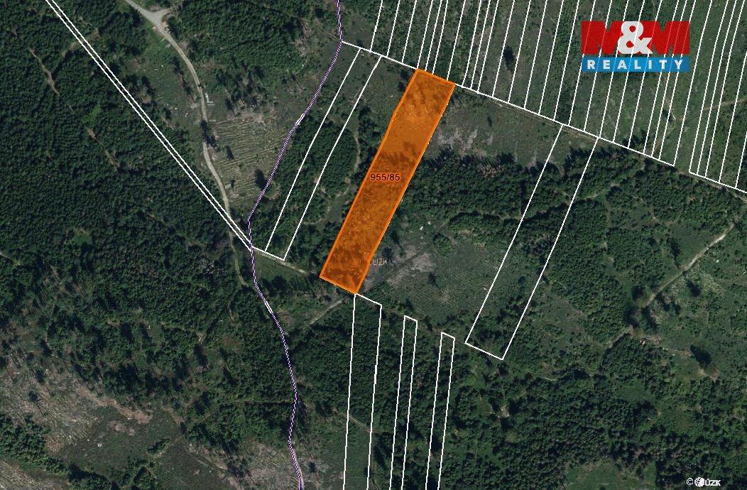 Prodej lesa, 6092 m², Nová Hradečná - 4