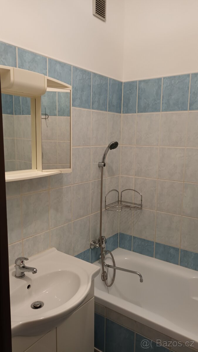 Pronájem bytu 2 + 1 - 4