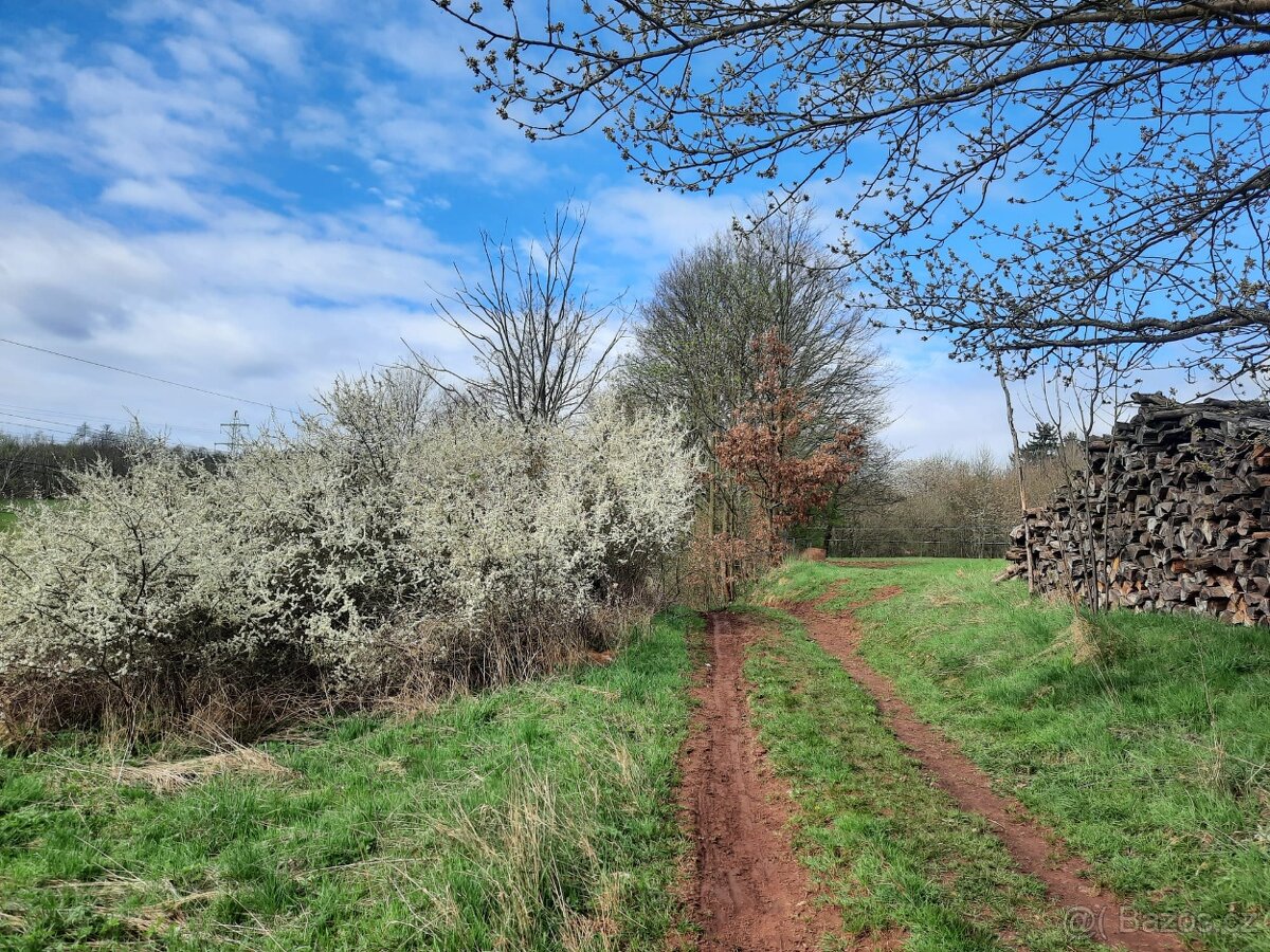 Prodám stav. pozemek v Trutnově - 4