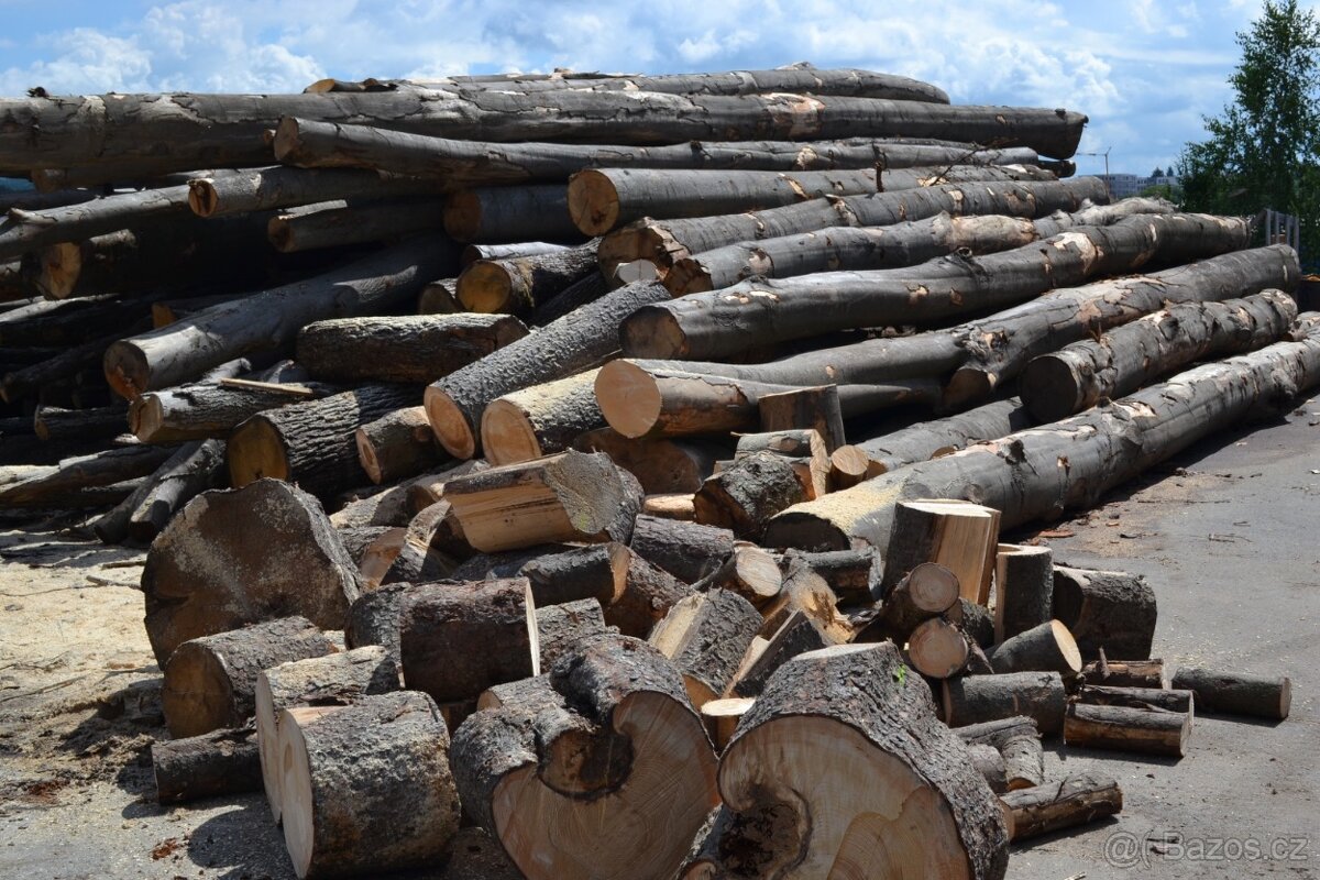Palivové dříví - 4