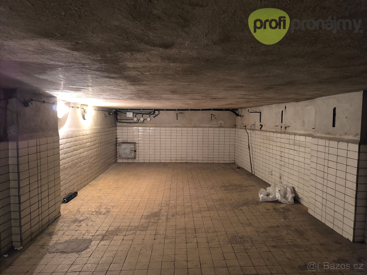 Pronájem skladového prostoru 172 m² - 4