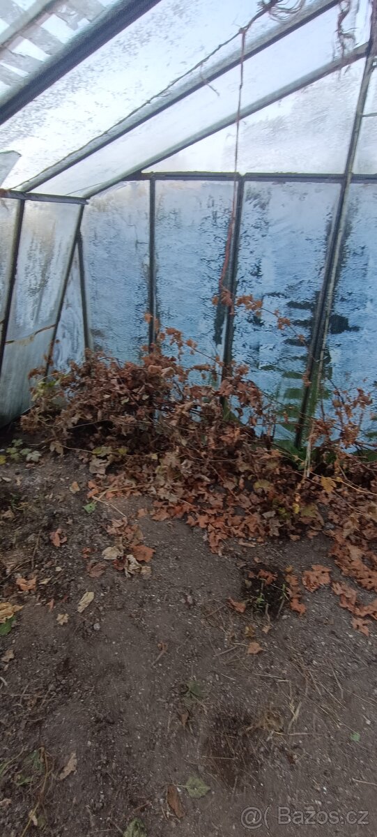 Prodám skleník - 4